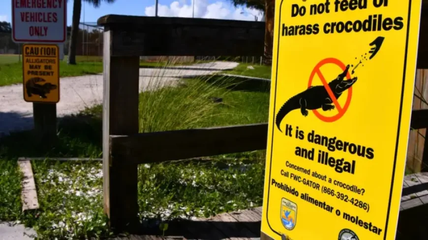 Clavicular Arrested Rumors Collide With a Florida Investigation Into an Everglades Livestream