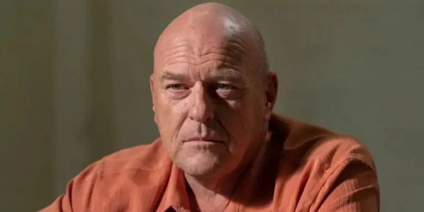 Breaking Bad: New breaking bad Project Officially Releasing This Year With Dean Norris Returning
