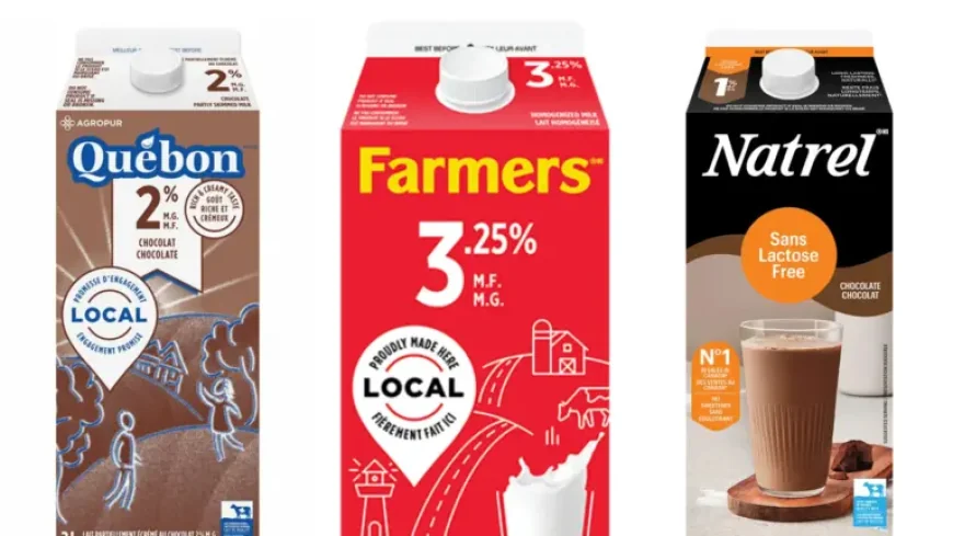 Dairy Milk Recalled Canada: Major Brands Pulled While Producer Says Situation Is Under Control