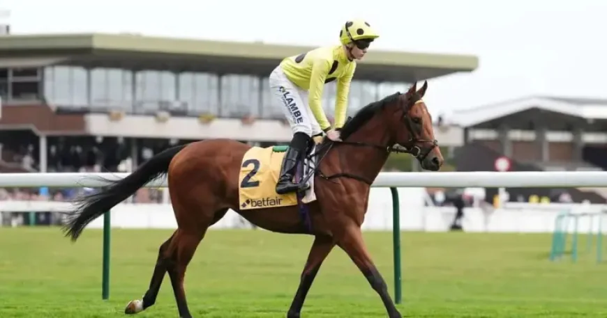 Billy Loughnane Suspended for Three Weeks After Riding Against Vet — What It Means for His 2026 Bid