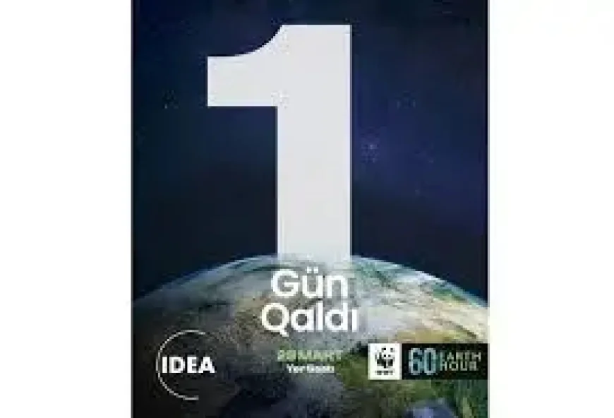 Los Cabos absent as Hora del Planeta roll-call exposes uneven municipal commitments