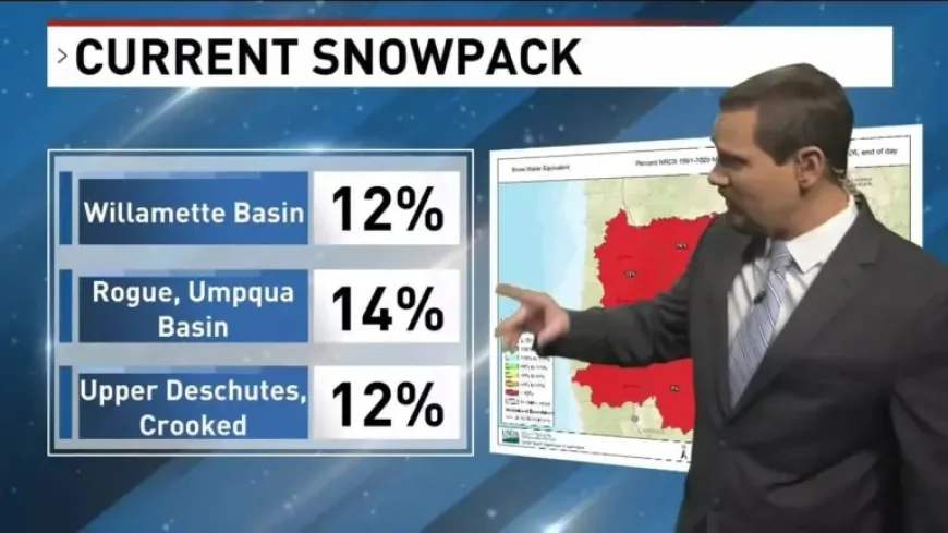 Jacksonville on Edge: What Is A Red Flag Warning Weather as Heat and Drought Drive Fire Danger