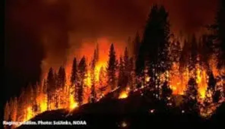 Red Flag (fire Weather) Warning as Anniston issues a burn ban through Sunday