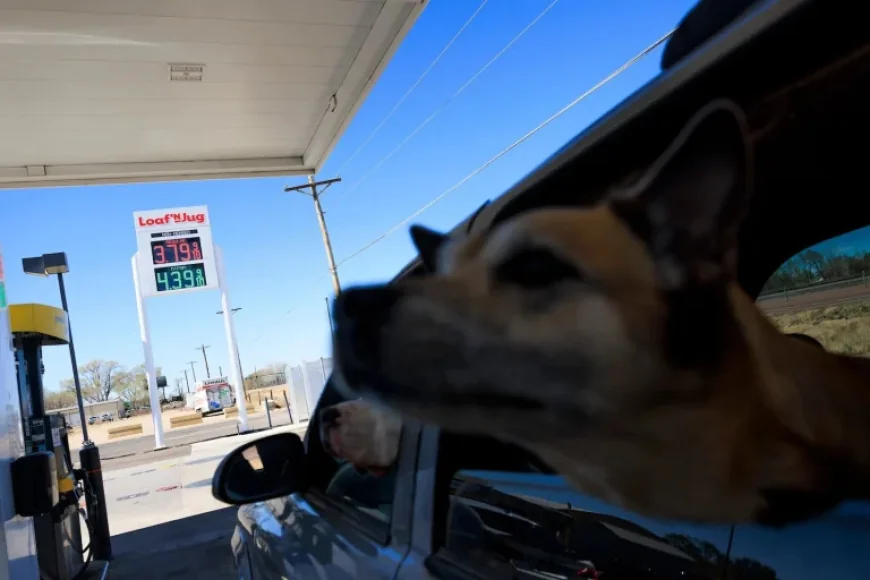 Oil Surge Drives Financial Markets to New 2026 Low – The Washington Post