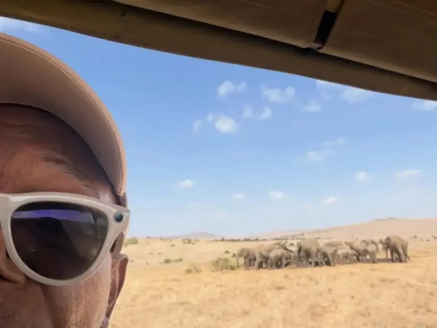 Samuel L Jackson joins urgent push to move Billy and Tina from Tulsa Zoo as advocates warn “time is running out”