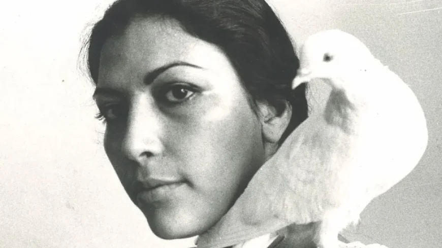 Pitchfork Reviews Flea’s New Honora Album