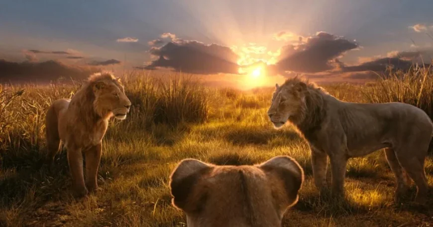 ‘Lion King’ Composer Sues Comedian Over Faulty Translation