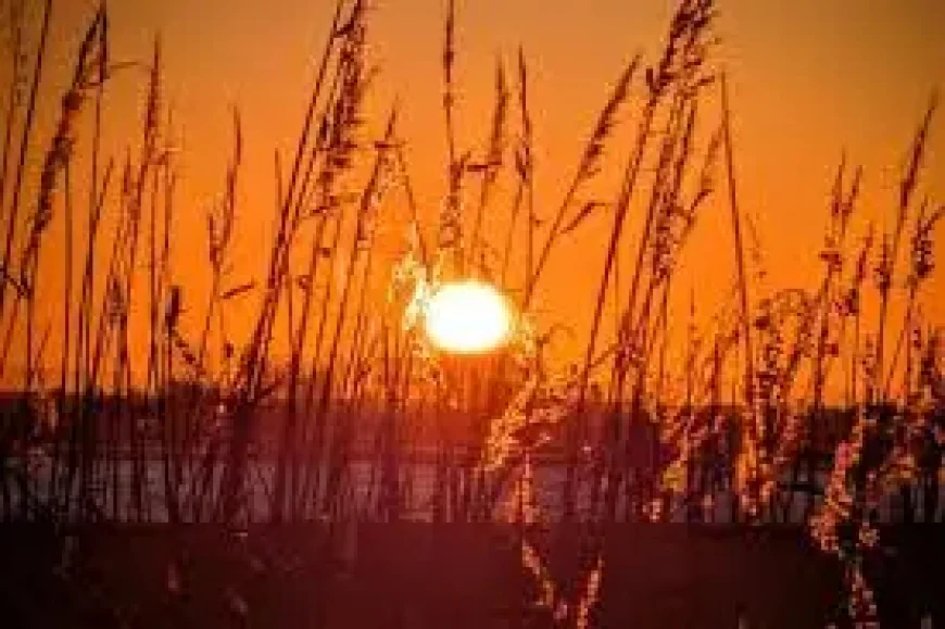 Blackpool Weather: Sunshine Returns Before a Wet, Windy Weekend — 4 Key Shifts to Watch