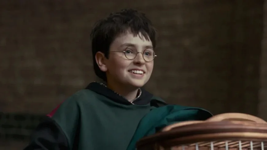 Harry Potter Trailer Breaks HBO Record for Most Views