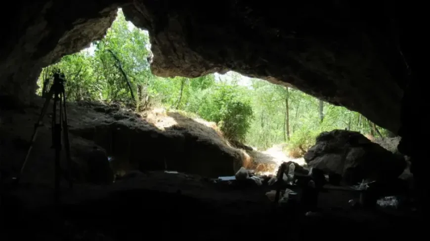Neanderthals: One Lineage, One Ice Age and a Major Disruption in History