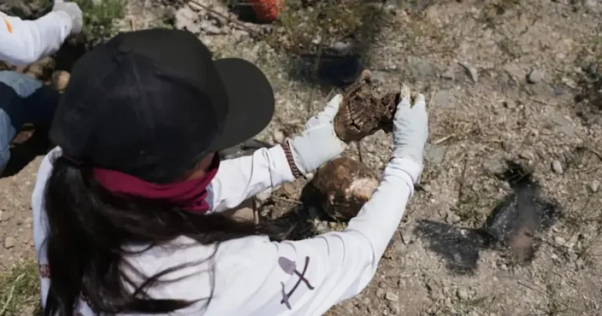 Mexico report claims signs of life for a third of 130,000 missing — families push back hard