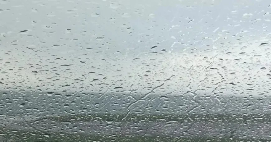 Leigh weekend forecast: 3-day swing from wet dawn to gusty showers