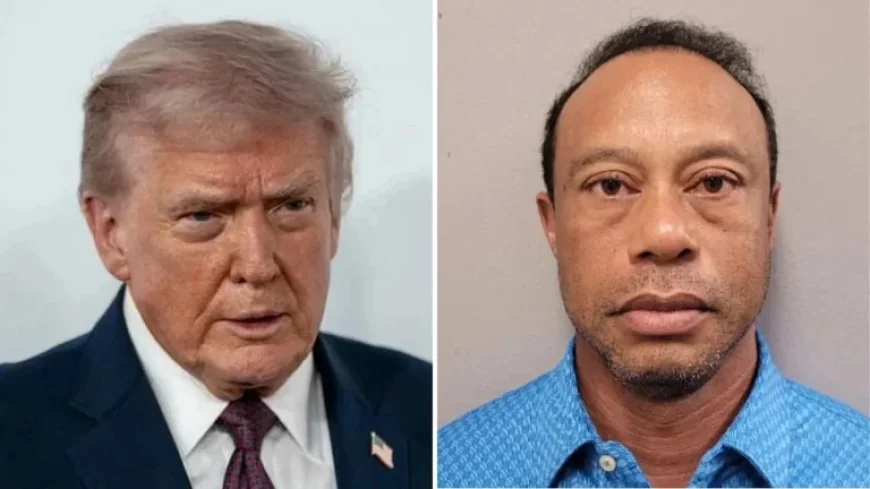 Tiger Woods Stops Giving Rides to Vanessa Trump’s Boyfriend