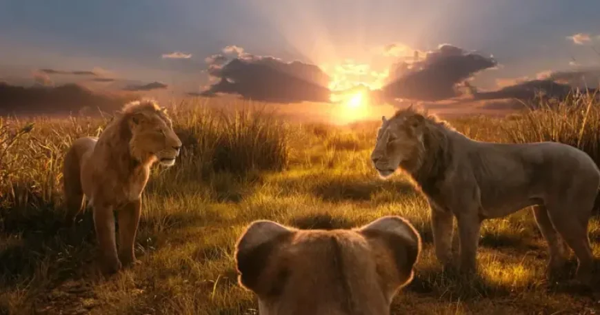 Lion King Composer Sues Comedian for $27 Million Over Chant Translation — Cultural Clash in Court