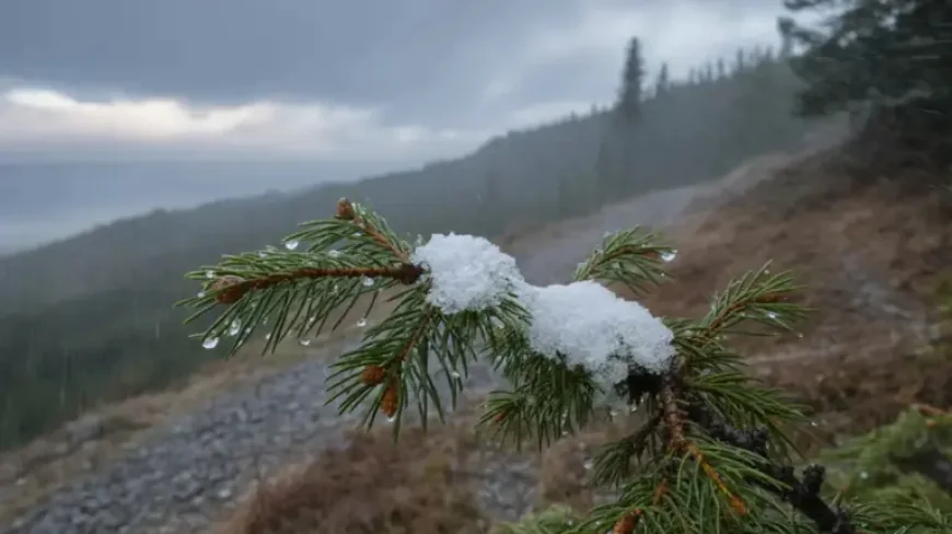 Holnapi Időjárás: 15 cm of Snow Possible in the Bakony as Warnings Multiply