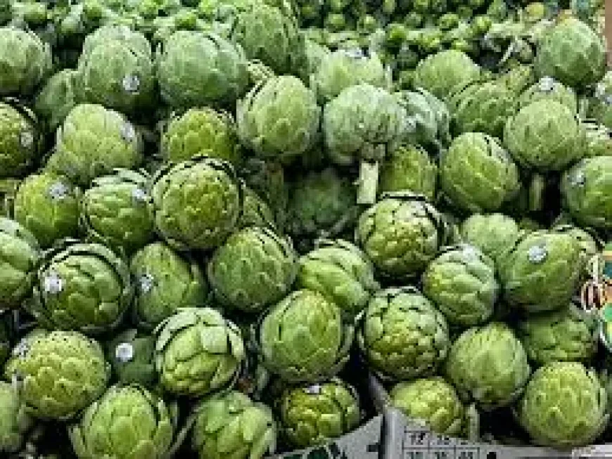 Uf headline pages met with browser‑support warning as site urges upgrades