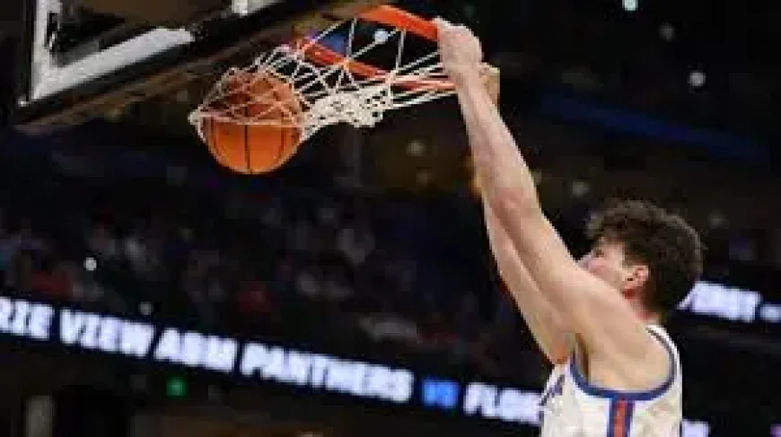 Tallest College Basketball Player Olivier Rioux Sparks Viral March Madness Moment in Tampa