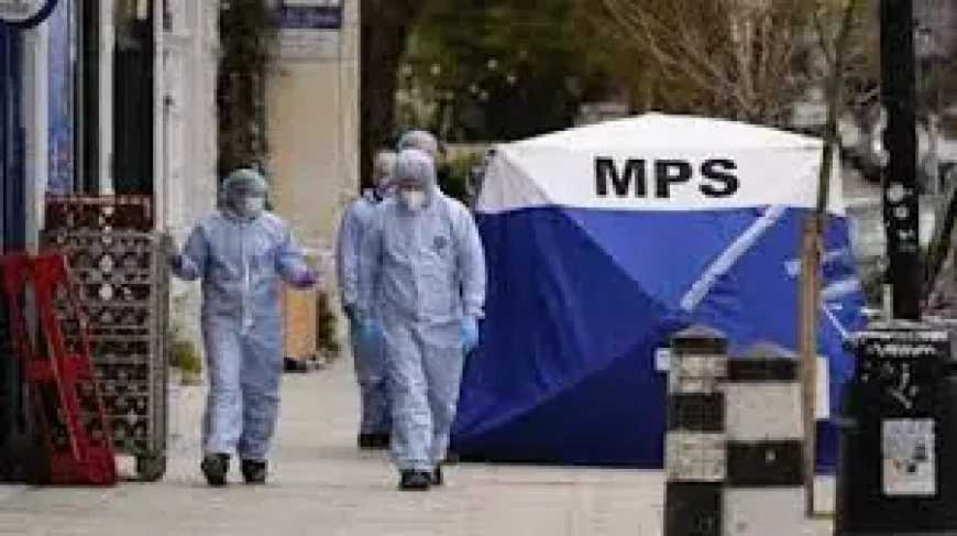 Camden: Police hunt gunman after man shot dead in car near Euston station