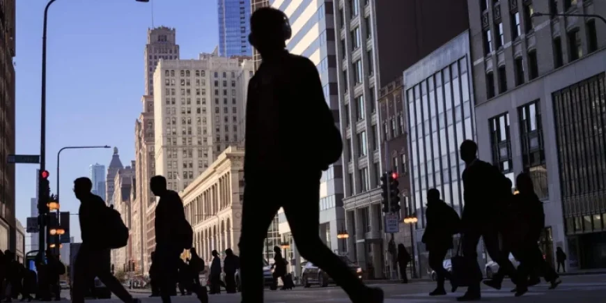 AI to Transform Consulting: Potential Reduction of Generalist Roles Ahead