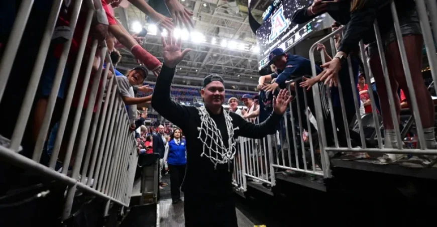 Arizona Wildcats Triumph: Tommy Lloyd, Team React to Final Four Qualification