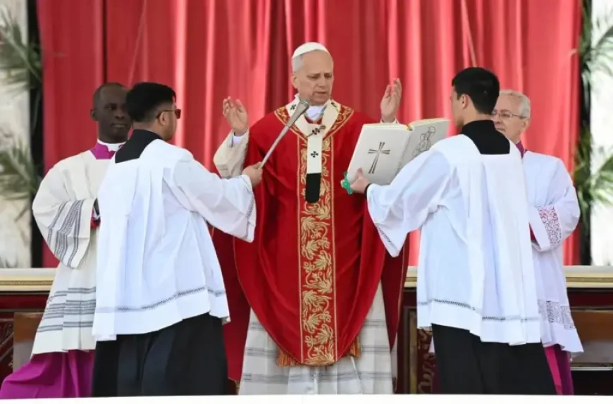 Is Today Palm Sunday: Pope Rebukes Leaders With ‘Hands Full of Blood’
