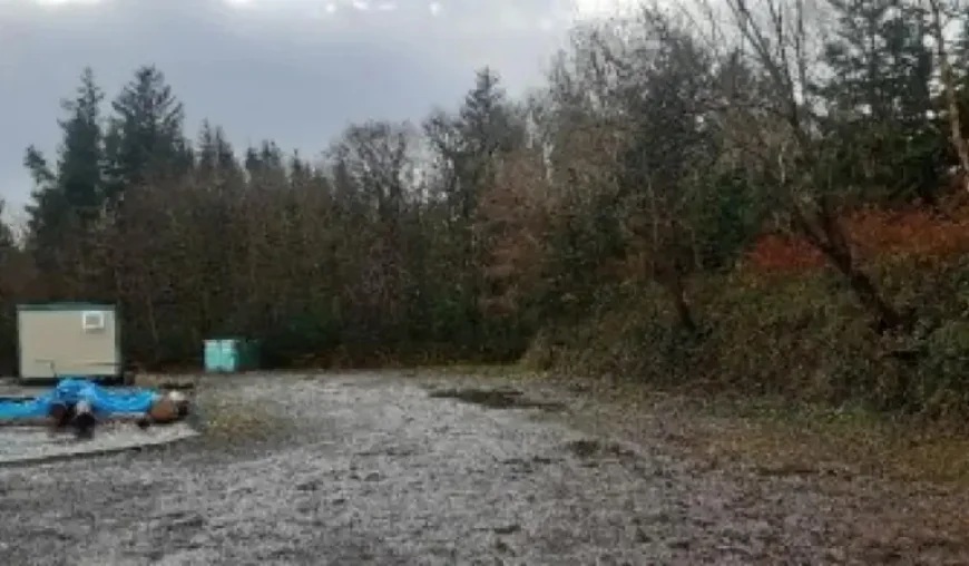 Donegal Town forest preschool with natural world ‘connection’ awarded planning, promising local jobs and nature-based learning