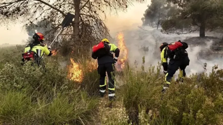 Murcia: Sierra Espuña Fire Escalates as Plan Infomur Level 2 Is Activated