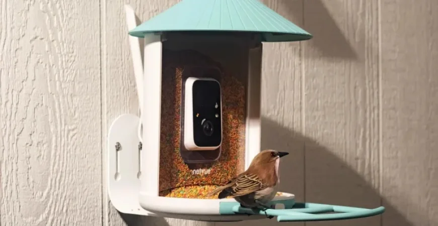 Get an AI-Powered Bird Feeder at Amazon’s Big Spring Sale