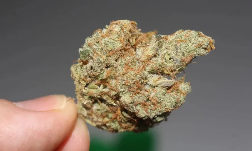 How Ohio’s New Marijuana and Hemp Restrictions Impact Consumers and Businesses