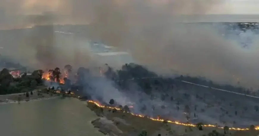 Shoal Line Fire as evacuations expand in Hernando County: what we know at 9:30PM ET