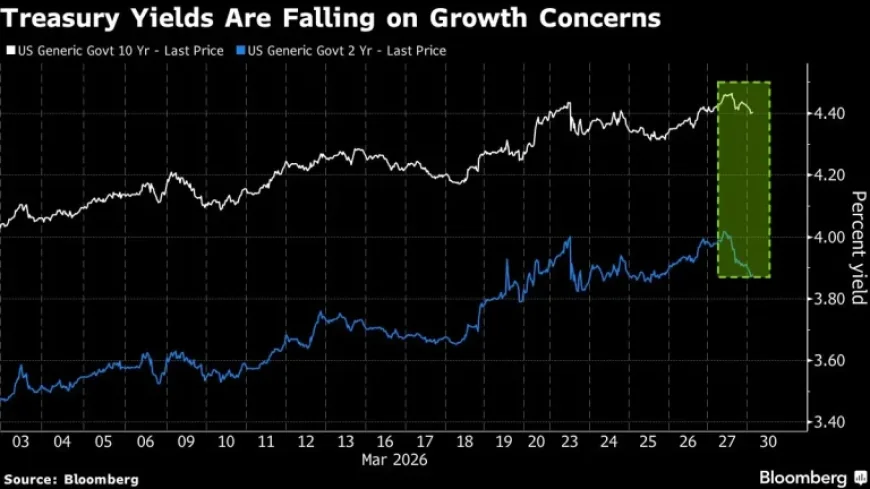 Global Slowdown Fuels Rally in Government Bonds
