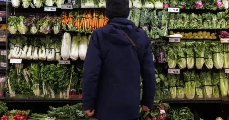 Gst Hst Credit as April Payments Arrive: Will the Groceries and Essentials Benefit Be Enough?