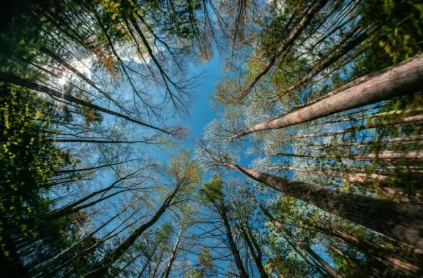 Earth Day as Earth Week 2026 approaches: Kawartha Lakes focuses on 20-minute action