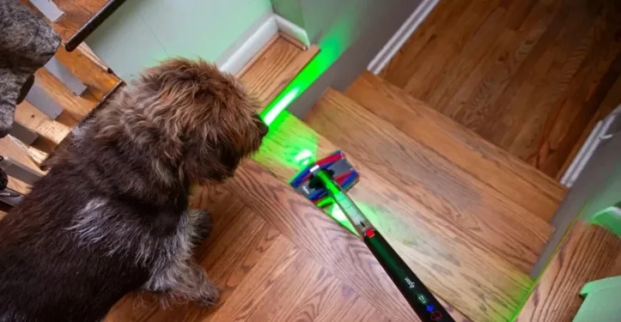 Save $150 on Dyson’s Irresistible PencilVac Fluffycones Today