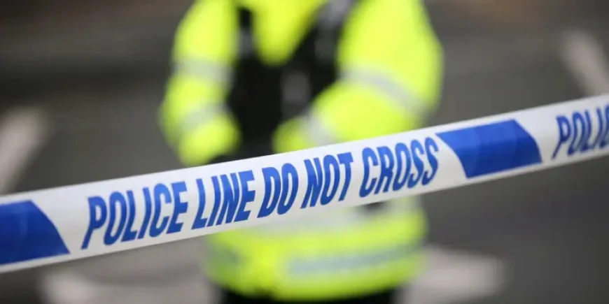 Hunting The Silver Killer: Where is the Silver Killer now?