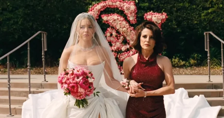 Euphoria Season 3 Trailer Unveils Rue and Jules Reunion