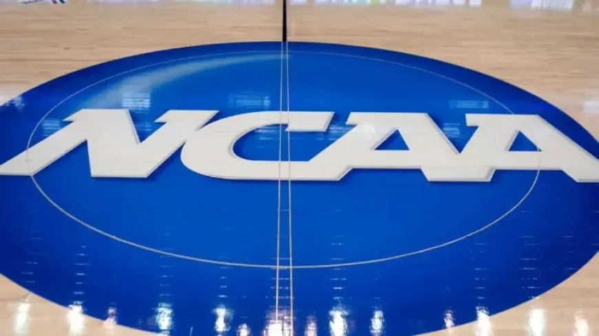 Ncaa Women’s Basketball Scores: WBIT Narrows to Final Four as Wichita Hosts the Finish
