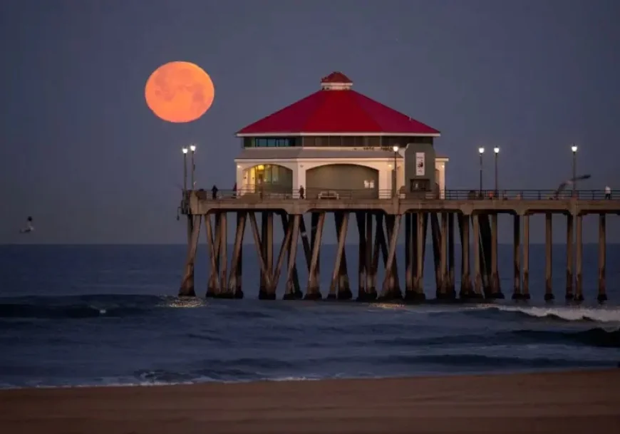 Full Moon March Reveals a Calendar Contradiction Behind April’s Pink Moon