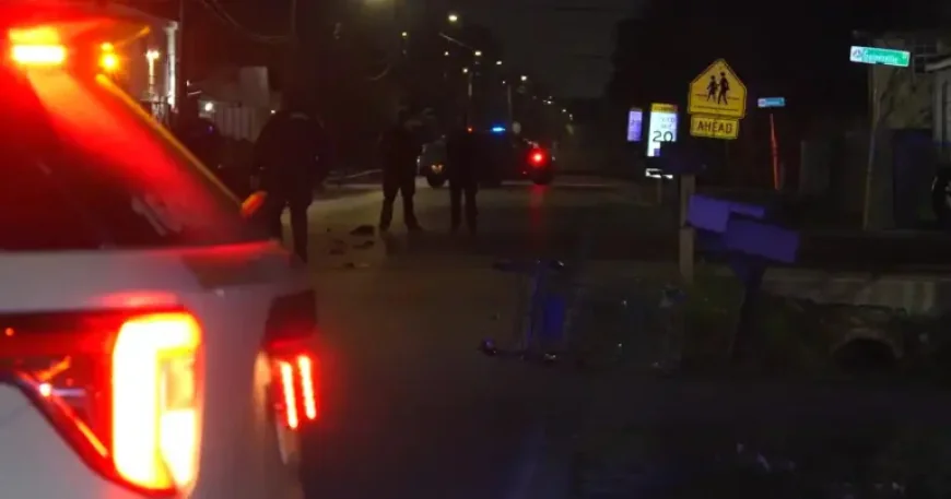 Auto Accident Lawyers Watch Closely as Deputies Probe Deadly Cloverleaf Hit-and-Run