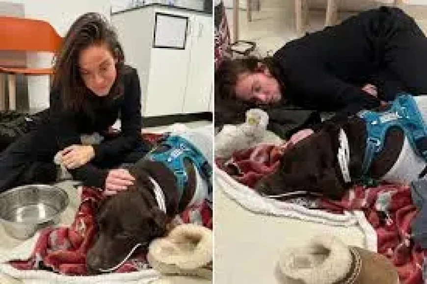 Vicky Pattison Reveals ‘Very Scary’ Ordeal as Rescued Dog Fights for Life — 5 Key Details