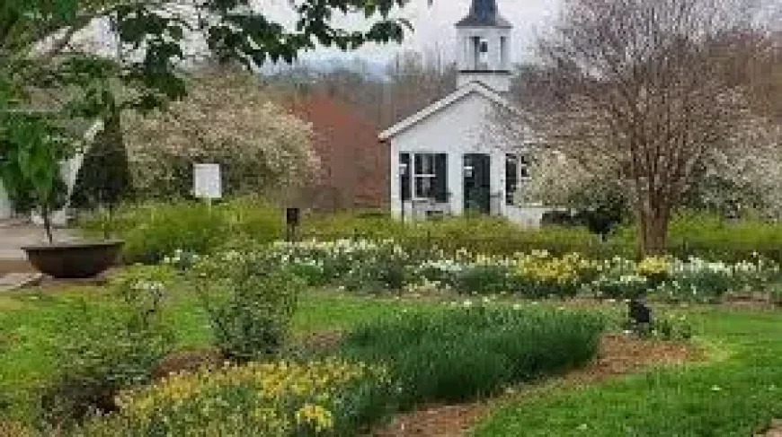 Va.gov: Lynchburg’s Old City Cemetery urges families to clear decorations for Clean-Up Week