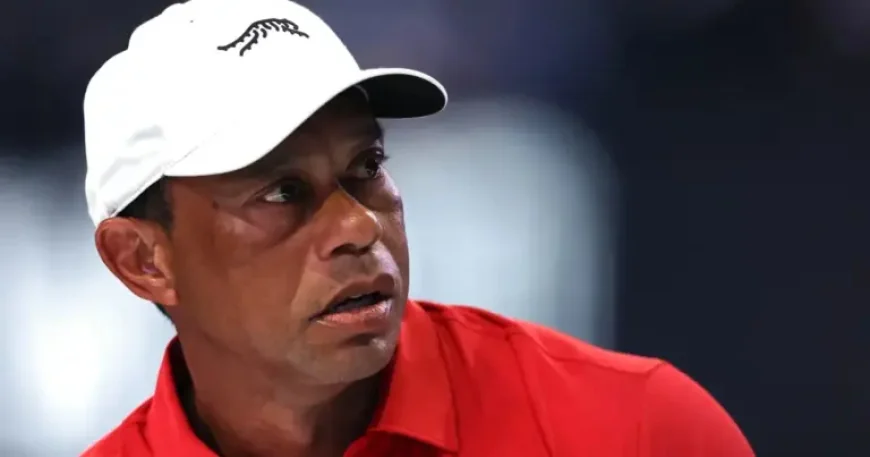 Hydrocodone Emerges in Tiger Woods Crash: 5 Revelations from the Police Report