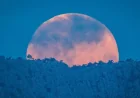 Pink Moon: Exactly When and How to See April’s Full Moon Rise