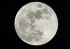 Full Moon Pink Moon: April 1 Peak at 9:11 p.m. ET and What It Actually Means