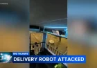 Vandal Kicks Uber Eats Delivery Robot in Philadelphia