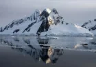 Antarctica: EU krill market on the turn as producers and retailers withdraw — first manufacturer quits