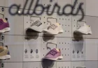 Allbirds’ Stock Plunges 99%: Key Takeaways from the $39 Million Fire Sale