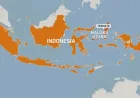 Tsunami Warning Lifted After 7.4-Magnitude Quake — Indonesia Earthquake Today