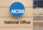NCAA Enforces Stricter Penalties for ‘Blind Transfers’ on Coaches, Schools