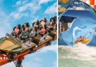 Dreamworld Deal Revealed: 4-for-3 Offer and a 42m Thrill Make the Ultimate Family Vacation Much Cheaper